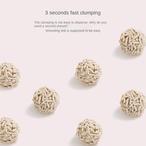 ก้อนเต้าหู้6L สำหรับแมว - Product Image 3