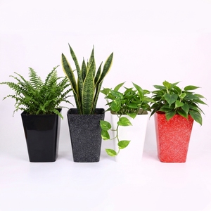 Factory Direct Square <b>Plastic</b> Plant Pot Premium PP Flower <b>Planter</b> Modern Taper Design for Nursery Home Office Garden Landscaping - Product Image 2