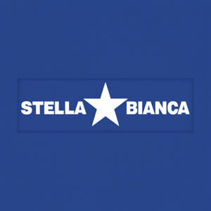 Stella bianca 35mm elettrolitica diamante nucleo punta per il modello di 067035 in muratura e calcestruzzo - Product Image 1