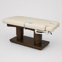Fauteuil de soin esthétique électrique multifonction avec appui-tête à ressort à gaz, accoudoirs amovibles et télécommande, inclinable pour salon et clinique