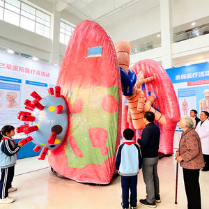 Modelo Inflável de Coração Gigante para Eventos Médicos, Modelo Inflável de Corpo Humano para Câncer, Modelo Inflável de Cérebro e Cólon - Product Image 1