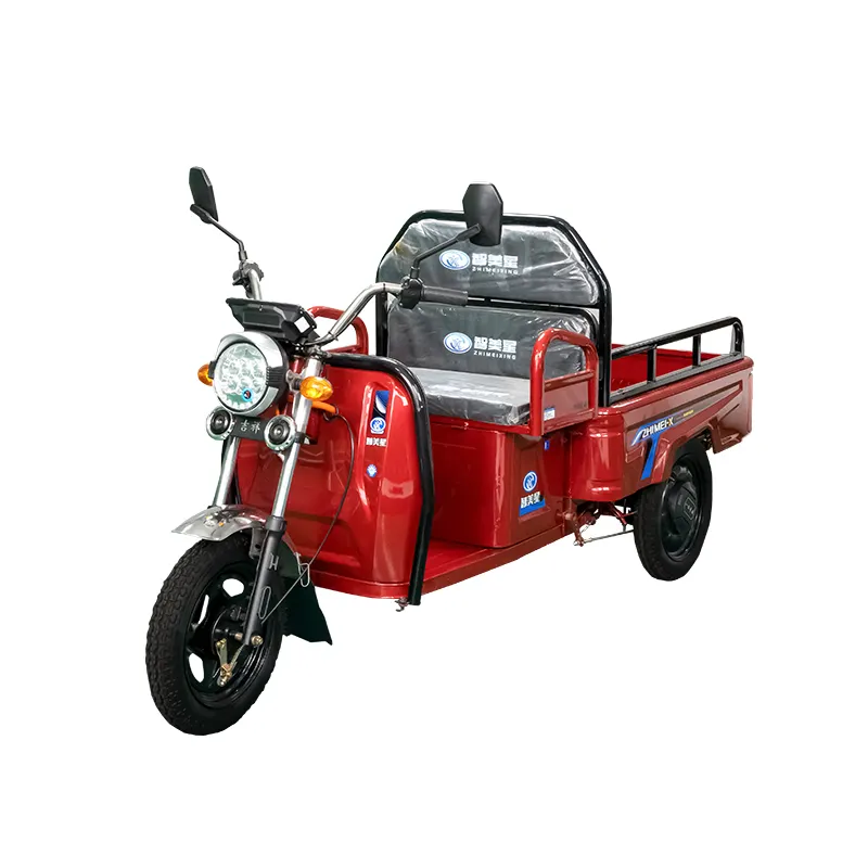 ファミリーカーゴボックスモーターバイクパッセンジャーバン三輪車トライク3輪大容量ZMXフェンピングモーター三輪車