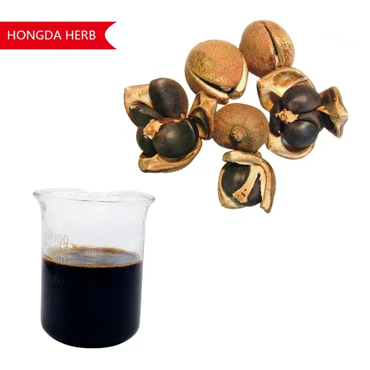 HONGDA 40% Camellia Sinensis Seed Extract Tea Saponin For Cosmetic