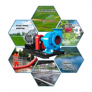 Pompe de drainage électrique à grand débit en fonte, pompe à flux mixte haute pression pour l'irrigation agricole efficace - Product Image 2