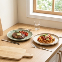 Ensemble de vaisselle en céramique EKA Minimalist Macaron Color, compatible lave-vaisselle et micro-ondes, assiettes pour steak, pâtes et petit-déjeuner