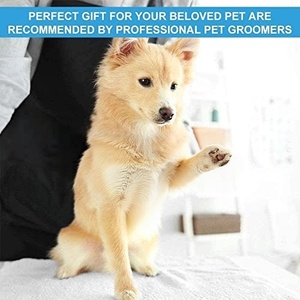 Professional Pet Cat <b>Dog</b> Nail Clipper Cutter With Sickle Stainless Steel Grooming <b>Scissors</b> Clippers for Pet Claws <b>Dog</b> Supplies - Product Image 4