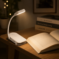Lampe de lecture LED portable à clipser, respectueuse des yeux, rechargeable, lumière bleue pour la lecture au lit, l'étude et les voyages