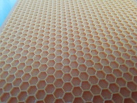 BEESTAR Gelbe Bienenwachs-Grundplatte – Neuwertiges Imkerei-Werkzeug für Bienenstockrahmen – Kunststoff-Bienenstock-Werkzeugset