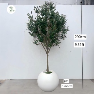 Grand olivier artificiel en plastique de 260 cm, à feuillage persistant, pour la décoration de <span class=keywords><strong>jardin</strong></span> et d'intérieur, résistant, décoration d'anniversaire - Product Image 5