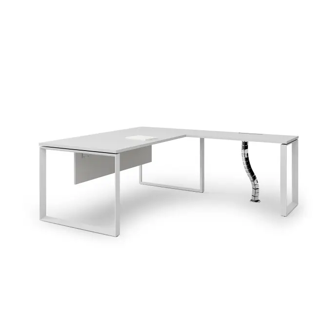 Supporta scrivania personalizzata in stile minimalista scrivania direzionale per mobili moderni