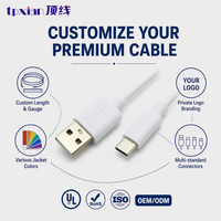 Kabel USB 2.0 ke Tipe C dengan Panjang Kustom, Layanan OEM ODM, Bersertifikasi UL, Kabel Pengisian Daya dan Sinkronisasi Data untuk Perangkat Digital