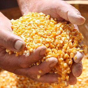 Xách tay 10000 kg/h điện Ngô lột Máy Ngô vỏ Ngô Ngô tuốt lúa máy với động cơ điện - Product Image 3