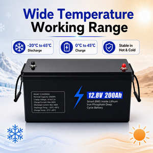 12.8V 200Ah LiFePO4 <b>Battery</b> 2560Wh <b>Deep</b> <b>Cycle</b> Lithium Ion <b>Batteries</b> for Solar Energy Storage Home Backup Off-Grid - Product Image 2