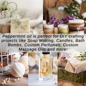 Huile de menthe poivrée en gros à prix d'usine, marque privée, 100% pure, naturelle, de qualité supérieure, biologique, pour les cheveux - Product Image 6