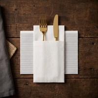 Rouleau de Matière Première pour Serviettes de Table en Papier Airlaid Non Tissé de Qualité Alimentaire pour Restaurants et Hôtels
