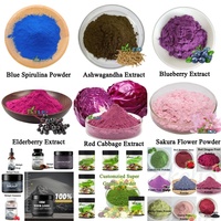 Polvo de sabor a Taro fresco Soluble en agua Polvo de fruta de Taro púrpura natural puro