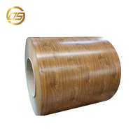 Bobina de Acero Ppgi con Recubrimiento de Color Galvanizado RAL 9005 9016 2004 8017 5002 7039 para Material de Construcción