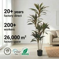 Venta al por Mayor de Fábrica: Planta Artificial Moderna de Dracaena, Árbol Artificial Realista para Decoración del Hogar y Oficina, OEM/ODM Disponible