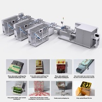Machine automatique de comptage et de conditionnement de boissons liquides en sachets