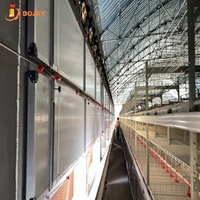 Système de cages à poulets de type H professionnel avec alimentation et abreuvement automatiques et nettoyage des excréments pour élevages avicoles