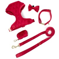 Ensemble de harnais pour chien au design de luxe, laisse, collier, boucle métallique, fabricants de bandanas pour animaux de compagnie, nœud papillon, distributeur de sacs à excréments