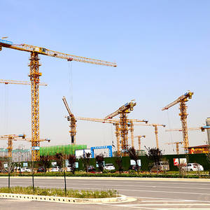 <span class=keywords><strong>QTZ</strong></span> 6t 8t 10t 12t عاري الصدر من الأعلى مسطح بطول 50m - Product Image 4