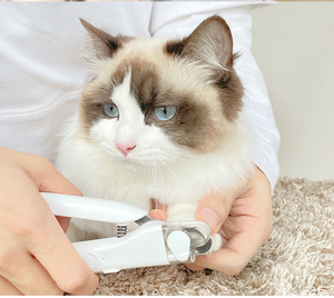2-in-1 <b>Dog</b> & Cat Stainless Steel Nail Clippers Trimmers With Quick Sensor Safety Guard Usb Rechargeable Led <b>Light</b> - Product Image 2