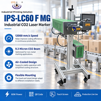 Marqueur laser CO2 IPS-LC60 F MG, équipement de marquage laser, codage laser en vol, longueur d'onde 10,6 μm pour ligne de production
