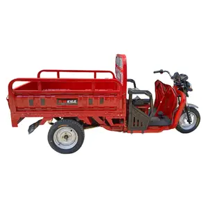 Electric Tricycle Factory Customization High Quality And Big Power Cargo Electric Tricycle For Adult