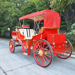 Vente en gros de calèches, de véhicules de tourisme et de véhicules électriques de tourisme - Product Image 2