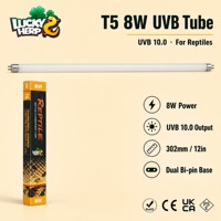 LuckyHerp T5 8W UVB10.0 Lampe UVB Spirale en Verre pour Reptiles Économie d'Énergie Écologique 12 pouces