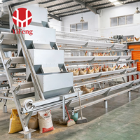 Cage à poules de type A à haute durabilité, en treillis métallique galvanisé antirouille, équipement pour poulailler, machine de collecte automatique des œufs