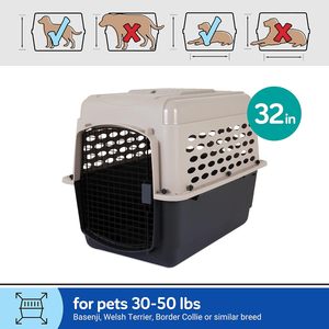 Wholesale Eco-Friendly Hard-Sided Luxury Large Dog Crate 10kg Capacity Airline Transport Plastic Travel <b>Carrier</b> for <b>Cats</b> Dogs - Product Image 2