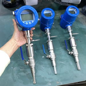 Trung Quốc RS485 medidor de flujo nhiệt độ cao khí đốt tự nhiên nén lưu lượng kế chèn nhiệt lưu lượng kế cho khí - Product Image 2