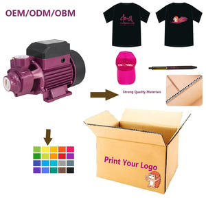 Bomba de Agua ZHELI QB60 para Riego Agrícola, Doméstico y Familiar, Bomba de Agua Periférica con Motor Eléctrico de 0.5hp, Personalizada y Fundida - Product Image 3