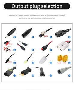 Caricabatterie Industriale NULIKE IP67 Impermeabile 50W AC/DC per Moto Elettriche da Esterno 16.8-42V/0-2.5A <span class=keywords><strong>EU</strong></span>/JP - Product Image 4