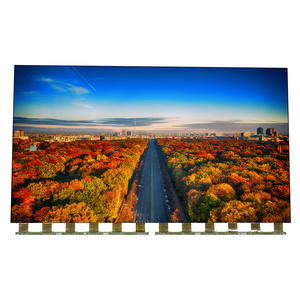 Pannello LCD 6870S-2853B V19 49UD per TV <span class=keywords><strong>LG</strong></span> <span class=keywords><strong>55</strong></span> Pollici, Sostituzione Schermo 4K UHD ad Alta Luminosità, Display Open Cell 3840x2160 - Product Image 1