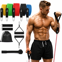 Set de Bandas de Resistencia para Entrenamiento, 11 Piezas, Bandas Elásticas de TPE con Agarraderas y Anclaje para Puerta, para Entrenamiento de Cuerpo Completo en Casa, Venta al Por Mayor