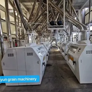 120 톤 밀가루 밀 기계 완료 식물