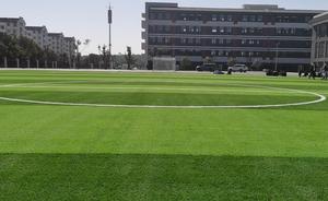 Proveedor Futsal Césped sintético Césped de fútbol artificial <span class=keywords><strong>5</strong></span> A Campo de fútbol lateral Artificial - Product Image 5