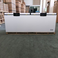 Congelador Horizontal Comercial de Una Sola Temperatura, Eficiente Energéticamente y Compacto, en Oferta a Buen Precio