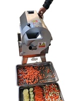 Multifunctionele Groentechopper En Snijder Groentefruitchips Snijmachine Roestvrijstalen Groentehakselaar