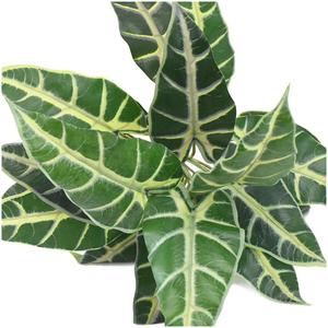 Feuilles Artificielles en Gros pour Bonsaï, Plantes Artificielles, Fausses Décorations, Feuilles Artificielles Suspendues pour Halloween dans un Pot - Product Image 3