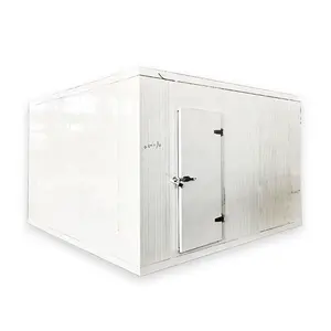 Industrial commercial cold storage room fresh foods spare parts cooler freezer door handle cold room door