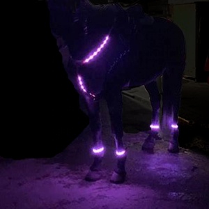 Licollinli — bande lumineuse <span class=keywords><strong>de</strong></span> sécurité LED, accessoire lumineux pour les jambes du <span class=keywords><strong>cheval</strong></span> - Product Image 2