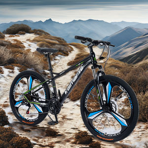 Vélo de montagne en carbone Phillips 29er pour hommes avec 21 vitesses et fourche en acier pour l'aventure et l'équitation pour adultes - Product Image 3