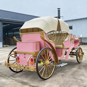 Carruaje Eléctrico Vintage Estilo Victoria de 4 Ruedas, Profesional, Ligero, Tamaño Personalizado para Bodas y Eventos - Product Image 6