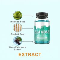 HDK OEM ODM Gummies de mousse de mer, mousse irlandaise, racine de bardane, sureau, végétalien, sans sucre, complément pour l'immunité, la peau, les articulations, l'énergie et anti-âge