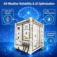 Système de stockage d'énergie solaire commercial Inedge Power Safe ODM 1290kW/2.5MWh, système de batterie BESS tout-en-un refroidi par liquide, conteneur de 10 pieds