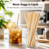 Pailles en bambou biodégradables écologiques, jetables, naturelles et compostables pour restaurants et bars